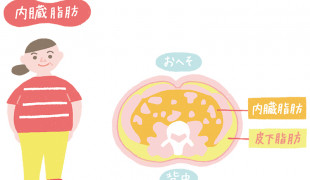 “リンゴ型”体型なら要注意！女医が語る内臓脂肪の怖さとは