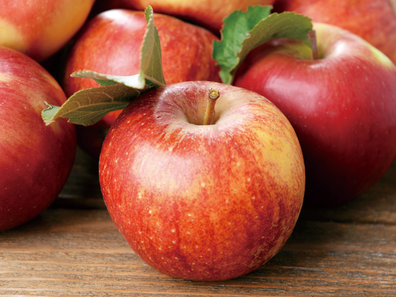 りんごは栄養の宝庫で冷え知らず！ 北国の果物は体温が上がる！