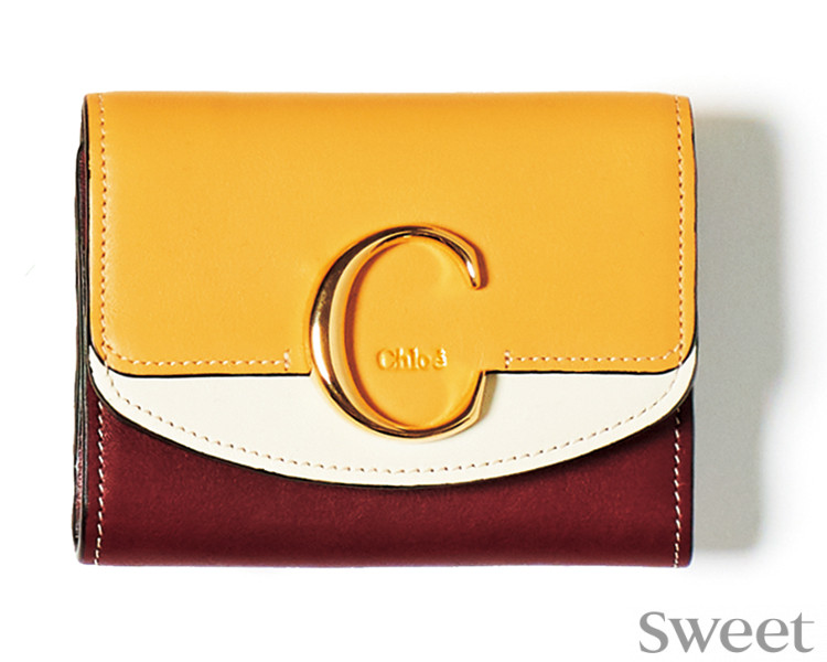 “ミディ財布”は使いやすさNo.1！セリーヌ、クロエ…今年のおすすめ財布をご紹介！
