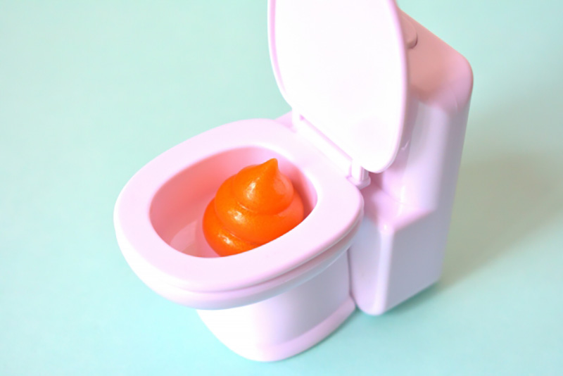 【医師監修】“便”から腸の健康状態が分かる!? 毎日のチェックで腸内細菌の様子を知ろう！