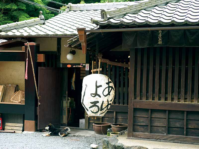 穴場スポット目白押し！ 欲張らなくても楽しめる“大人の京都旅行”をツウから学ぶ