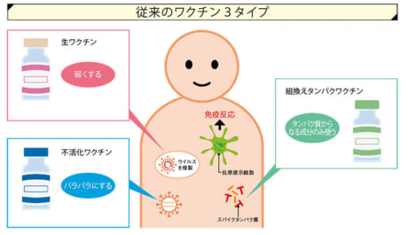 ヤクルト 株価 株主優待