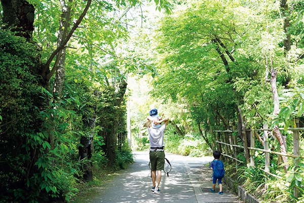 フラワーアーティスト前田有紀の夏のすこやかな過ごし方｜お花や植物と過ごす心地よい習慣とは