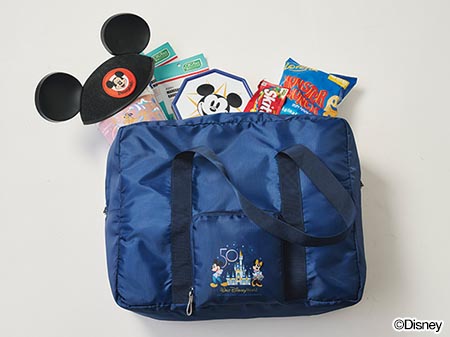 『Walt Disney World Boston Bag BOOK』3289円（税込）